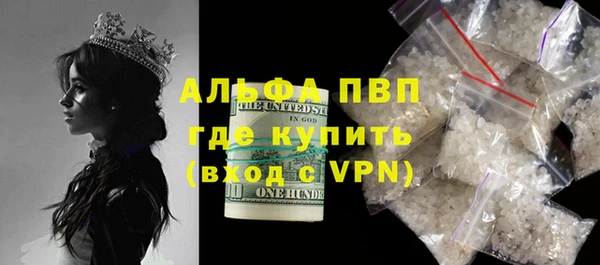 эйфоретик Ельня