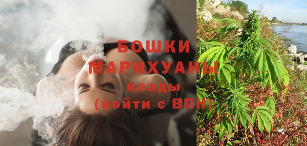 мескалин Заводоуковск