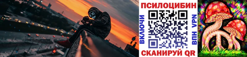 Псилоцибиновые грибы Psilocybine cubensis  Купить  Новоаннинский 